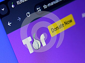 Tor web browser logo