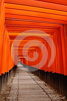 Tora of Fushimi Inari Taisha Shrine photo