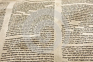 Torah Scroll Parchment