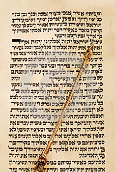 Torah and Yad Pointer