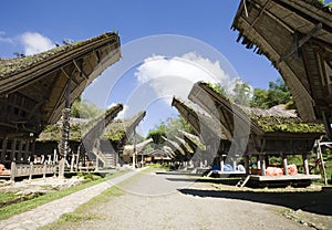 Toraja village