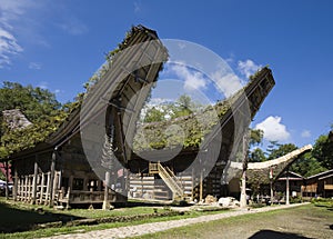 Toraja village
