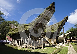 Toraja village