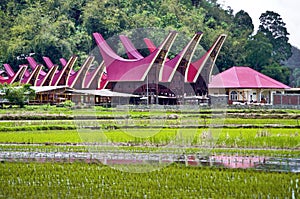 Toraja village