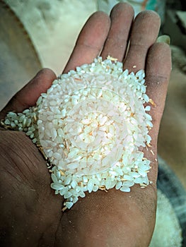 Toraja Village Rice