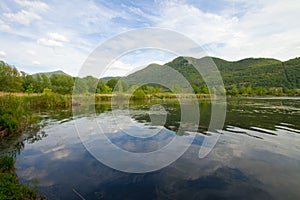 Torbiere del sebino, Brescia photo