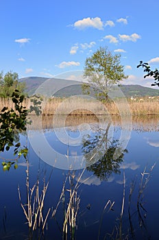 Torbiere del Sebino peat bog early in the morning photo