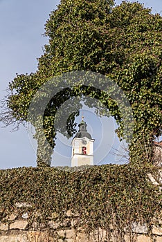 Torbogen mit Efeu auf alter Steinmauer und Kirchturm