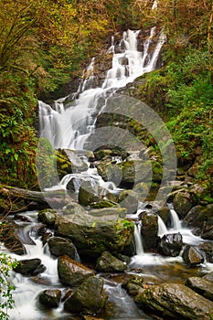 Torc waterfall in Ireland