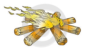 Torch Flame Blowing In Wind Color Vector