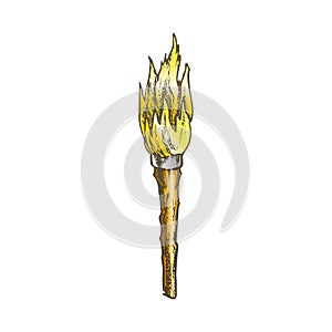 Torch Handmade Old Wooden Burning Stick Color Vector