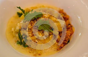 Torchetti pasta with sea urchin and littleneck clams