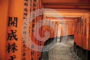 Tori gate in Japan