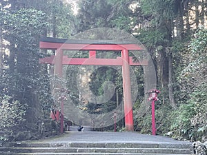 Tori gate near Hakone shrine in Japan