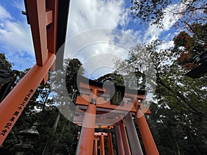 Tori gates at Fushimi inari shrine in Kyoto Japan