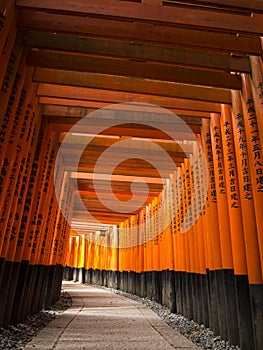 Tori gates at Fushimi Inari shrine