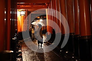 Tori gates in Fushimi Inari Shrine at night with selective focus , Kyoto, Japan