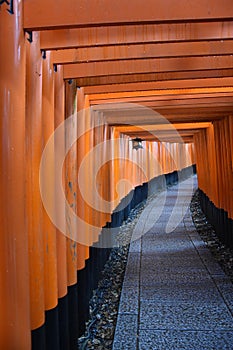 Tori gates of Fushimi Inari Taisha Shrine in Kyoto