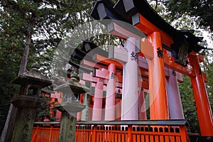 Tori gates Kyoto Japan temple