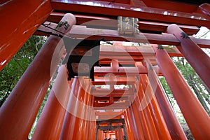 Tori gates temple Kyoto Japan
