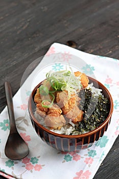 Tori Kaarage Japanese Rice Bowl