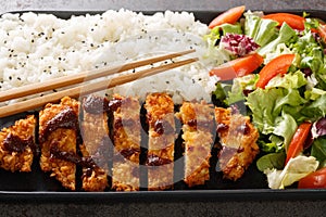 Tori Katsu a popular Japanese comfort food of breaded chicken cutlets served with rice and vegetables salad. Horizontal