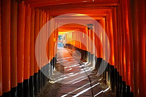 Tori of Kyoto Fushimi Shrine photo