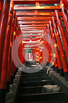 Torii Archway photo