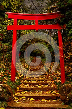 Torii Gate