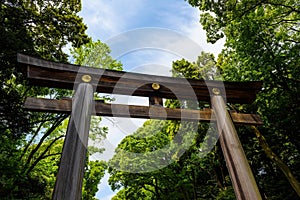 Torii Gate of Meiji Shrine, Tokyo