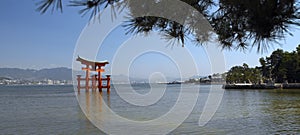 Torii Gate at Miyajima Island - Japan photo