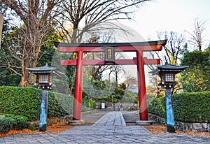 Torii gate at Nezu Shrine , Japan
