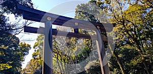 Torii Gate standing at the entrance to Meiji Jingu Shrine iat Harajuku Urban Forest, Tokyo