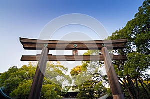 Torii Gate standing at the entrance to Meiji Jingu Shrine, Tokyo