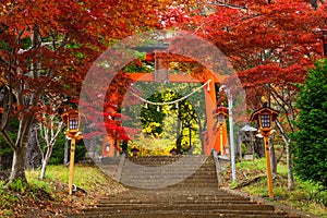 Torii gate to chureito pagoda, Fujiyoshida, Japan