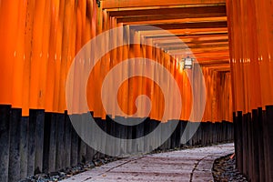 Torii Gates