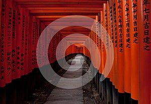 Torii gates at Fushimi Inari, Kyoto photo