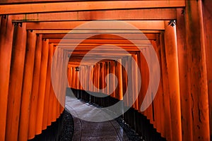 torii gates at Fushimi Inari, Kyoto