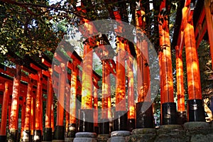 Torii gates at Fushimi Inari Shrine