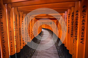 Torii gates in Fushimi Inari Shrine