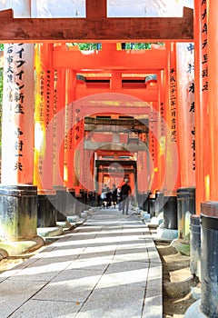 Torii gates in Fushimi Inari Shrine, Kyoto