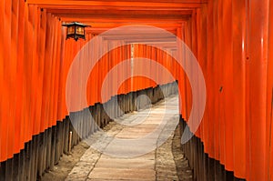 Torii gates of Fushimi Inari Shrine in Kyoto, Japan photo