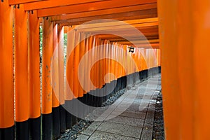 Torii gates at Fushimi Inari Shrine in Kyoto, Japan.