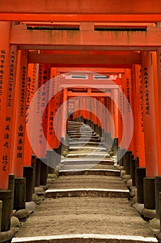 Torii gates of Fushimi Inari Shrine in Kyoto, Japan photo