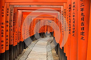 Torii gates of Fushimi Inari Shrine in Kyoto, Japan photo