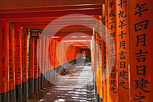 Torii gates in Fushimi Inari Shrine, Kyoto, Japan