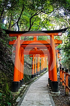 Torii gates in Fushimi Inari Shrine - Kyoto, Japan