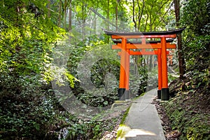 Torii gates in Fushimi Inari Shrine - Kyoto, Japan