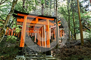 Torii gates at Fushimi Inari Shrine in Kyoto, Japan