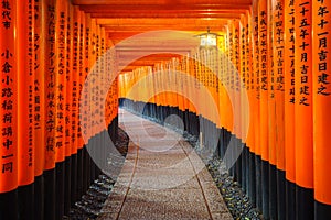 Torii gates in Fushimi Inari Shrine, Kyoto, Japan